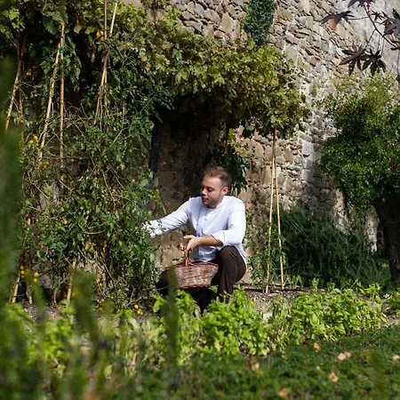 מלון Monteverdi Tuscany