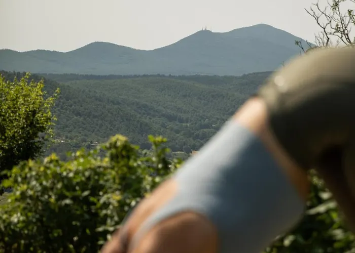 酒店 Monteverdi Tuscany Castiglioncello Del Trinoro