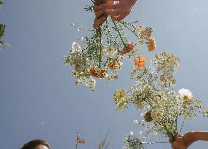 Monteverdi Tuscany 5*