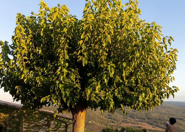 Monteverdi Tuscany 酒店 5*